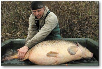 Carp Mary Died